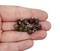 Dragon Blood Jasper 6mm Bead Dangles, Small Gemstone Charms, 10 pieces, Adorabilities